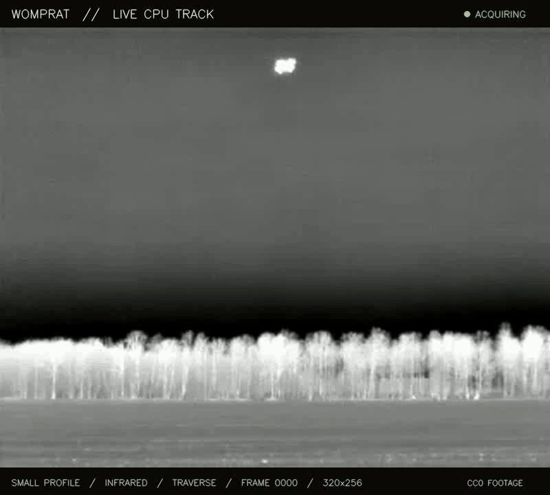 Womprat following a bright drone across infrared thermal footage above a pale tree line.